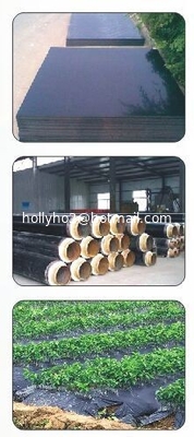Masterbatch dessecante para absorção de água no material de reciclagem PE-300 fornecedor